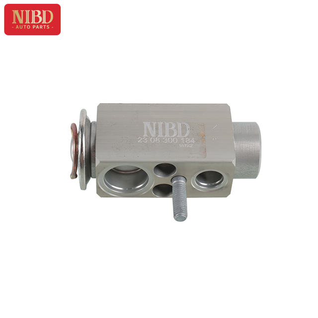 Válvula de expansão A2308300184 para Mercedes W220 W221 W203 W204 W211 W212 W463 R230
