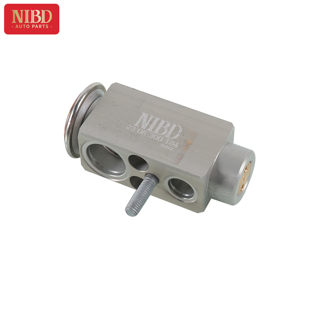 Válvula de expansão A2308300184 para Mercedes W220 W221 W203 W204 W211 W212 W463 R230